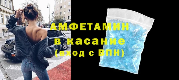 шишки Богородицк