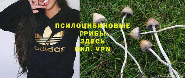 мдма Новозыбков