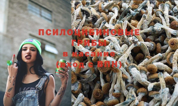 мдма Новозыбков