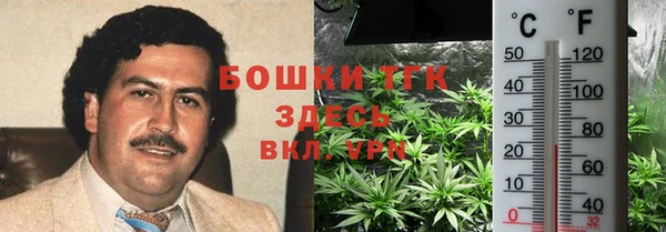 твердый Нефтегорск
