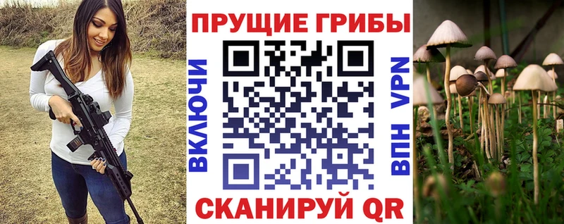 купить наркоту  ссылка на мегу как зайти  Псилоцибиновые грибы Cubensis  Тара 