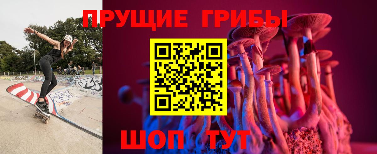 Тара  Галлюциногенные грибы прущие грибы  Вход с VPN  где купить наркоту  Псилоцибиновые грибы Magic Shrooms 