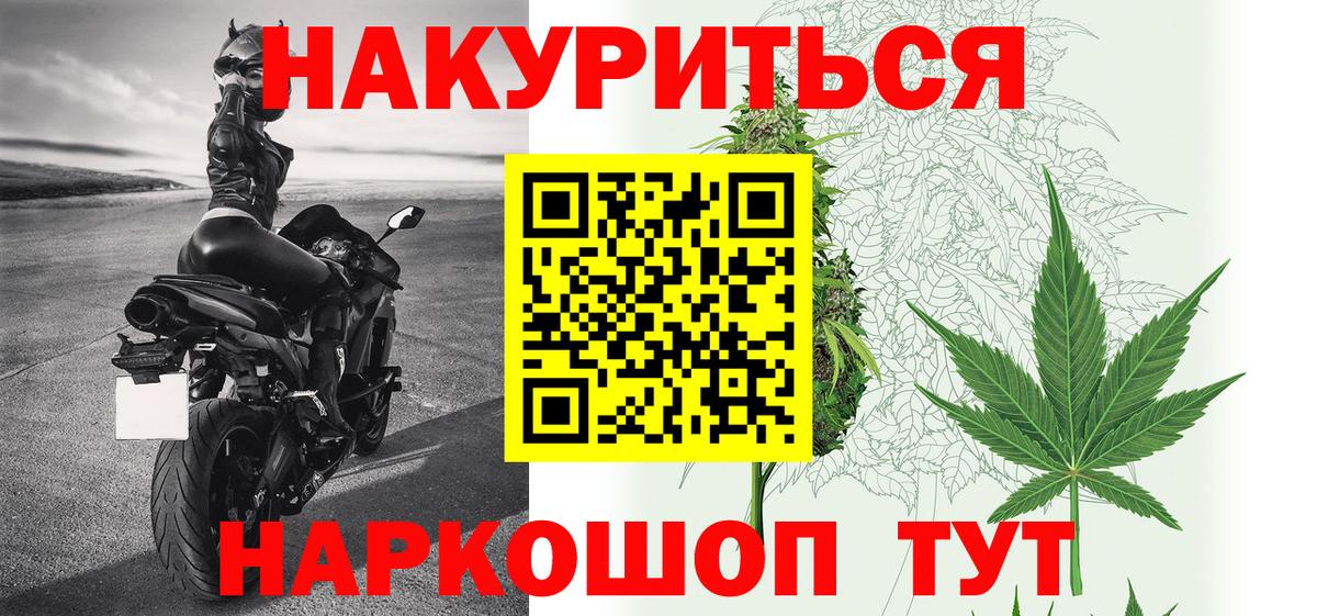 Каннабис OG Kush  Марихуана VHQ  Тара  Марихуана VHQ  Вход с VPN 
